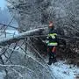 Mehrmals mussten Feuerwehren ausrücken, um umgestürzte Bäume, die Straßen blockierten, zu entfernen, wie hier die FF Timenitz