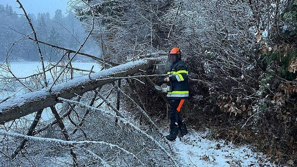 Mehrmals mussten Feuerwehren ausrücken, um umgestürzte Bäume, die Straßen blockierten, zu entfernen, wie hier die FF Timenitz