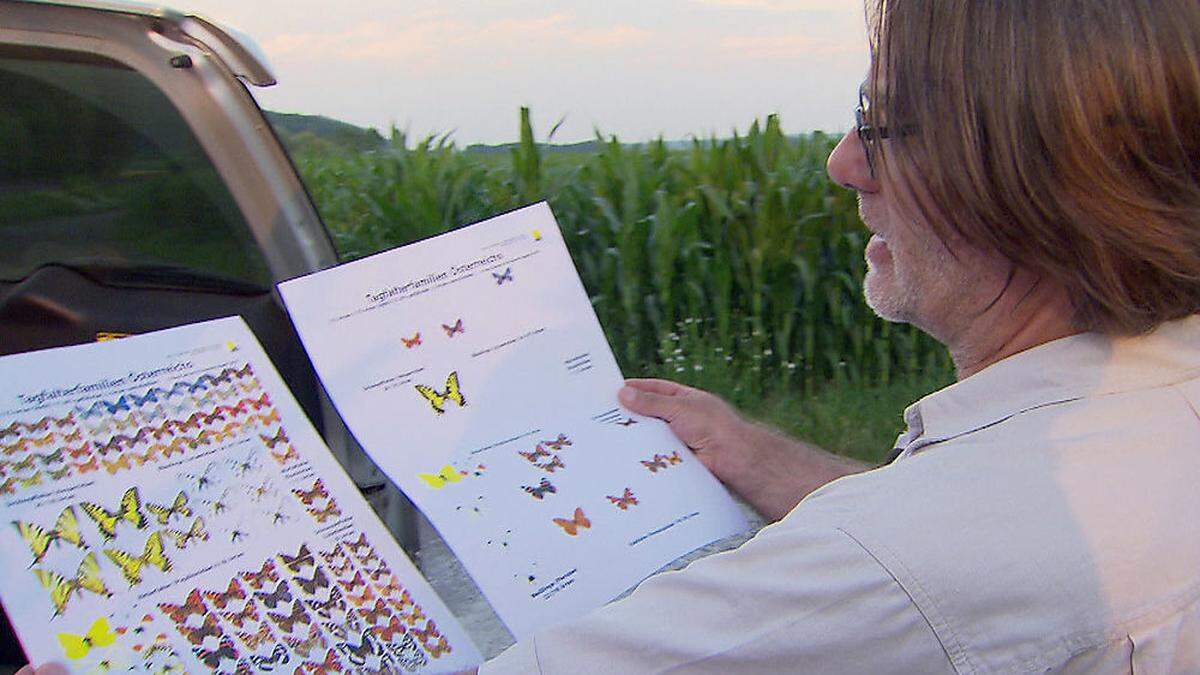 Robert Gordon zeigt wie viele Schmetterlinge in den letzten Jahren einfach verschwunden sind