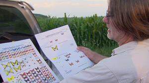 Robert Gordon zeigt wie viele Schmetterlinge in den letzten Jahren einfach verschwunden sind