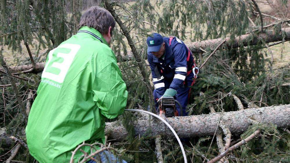 Immer wieder halten umstürzende Bäume die Mitarbeiter der Energie Steiermark auf Trab