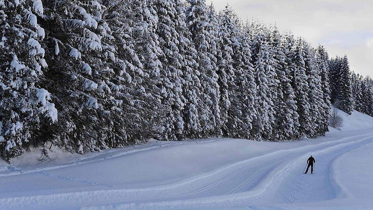 Ein Langläufer bei Kaltenbrunn nach Garmisch-Partenkirchen