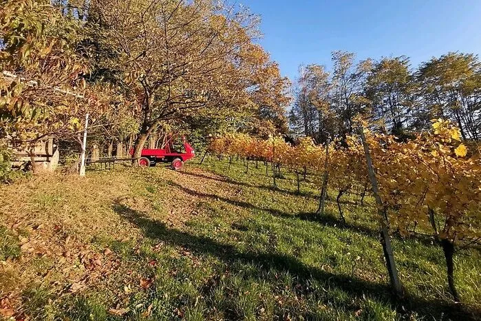 Bei seiner letzten Ausfahrt mit dem roten Puch-Haflinger in Rittschein bei Fürstenfeld hat Horst Melchart dieses Foto geschossen.