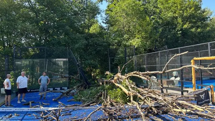 Im Juli legten Gewitterböen einen Baum um, er stürzte direkt auf einen Padel-Platz, wo kurz zuvor noch Sportler spielten.