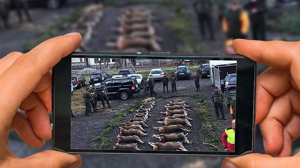 „Strecke“ nach Treibjagd im Revier Bärnbad: Bilder wie dieses beschädigten das Jagd-Image