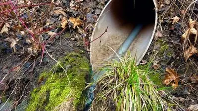 Blaugraue Flüssigkeit läuft aus einem Regenwassersammelkanalrohr