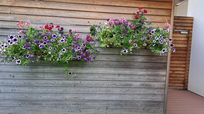 Der Kindergarten Straß ließ seinen Garten erblühen