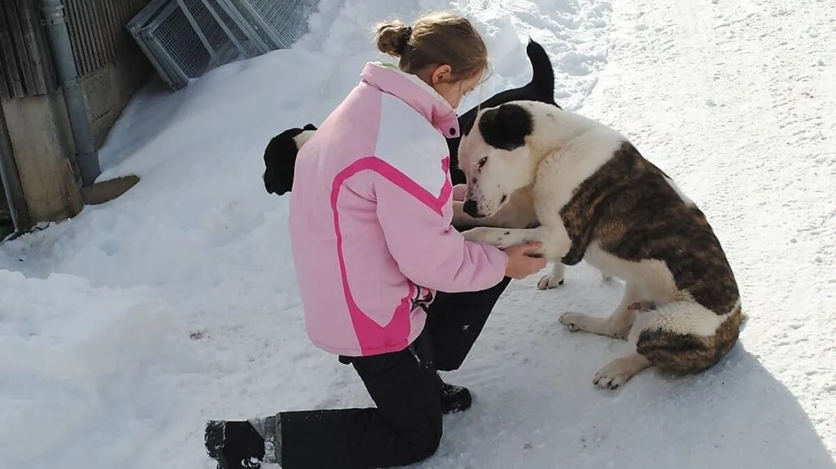 Der Verein „Secure Base – Kompetenzzentrum für Herdenschutzhunde und Halter“ ist derzeit die einzige Anlaufstelle in Österreich dieser Art