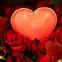 Rote Rosen sind der Klassiker am Valentinstag 