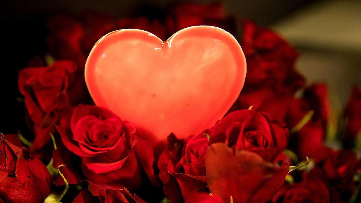 Rosen, Liebe, Leidenschaft - wie bleibt das Feuer?  | Rote Rosen sind der Klassiker am Valentinstag 