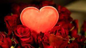 Rosen, Liebe, Leidenschaft - wie bleibt das Feuer?  | Rote Rosen sind der Klassiker am Valentinstag 