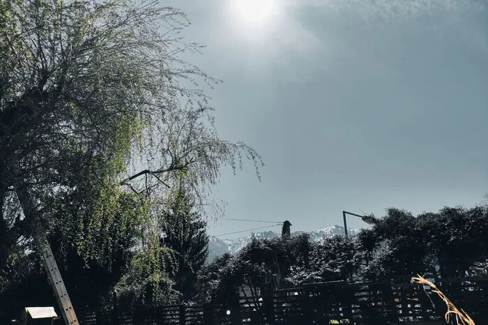 Für Multikamera-Module wie jenes des Xiaomi 12 Pro gibt es einen ultimativen Härtetest: Fotos mit der Sonne im Bild. Hier schneidet das Gerät aber schlechter ab als der Mitbewerb. In der Mitte verschwinden die Farben komplett und das Bild wird schwarz-weiß. Nur an den Rändern gibt es einen blassen Hauch von Farbe.