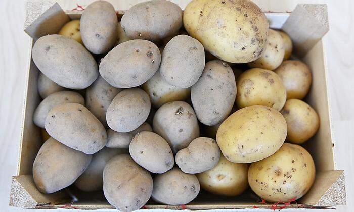 Die Kartoffel ist ein Paradebeispiel für das Auf-und-Ab der Agrarpreise. 2019 ging es 23,6 Prozent nach oben, 2020 rasselte der Preis 47,1 Prozent nach unten und liegt jetzt wegen hoher Produktion 60 Prozent unterm Vorjahr 