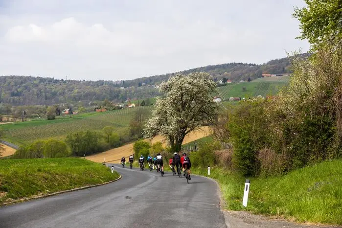 Sie erkundeten zu Rad die ganze Region