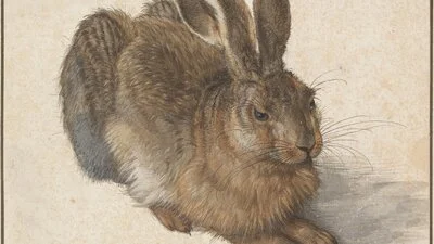 Albrecht Dürer. Feldhase, 1502