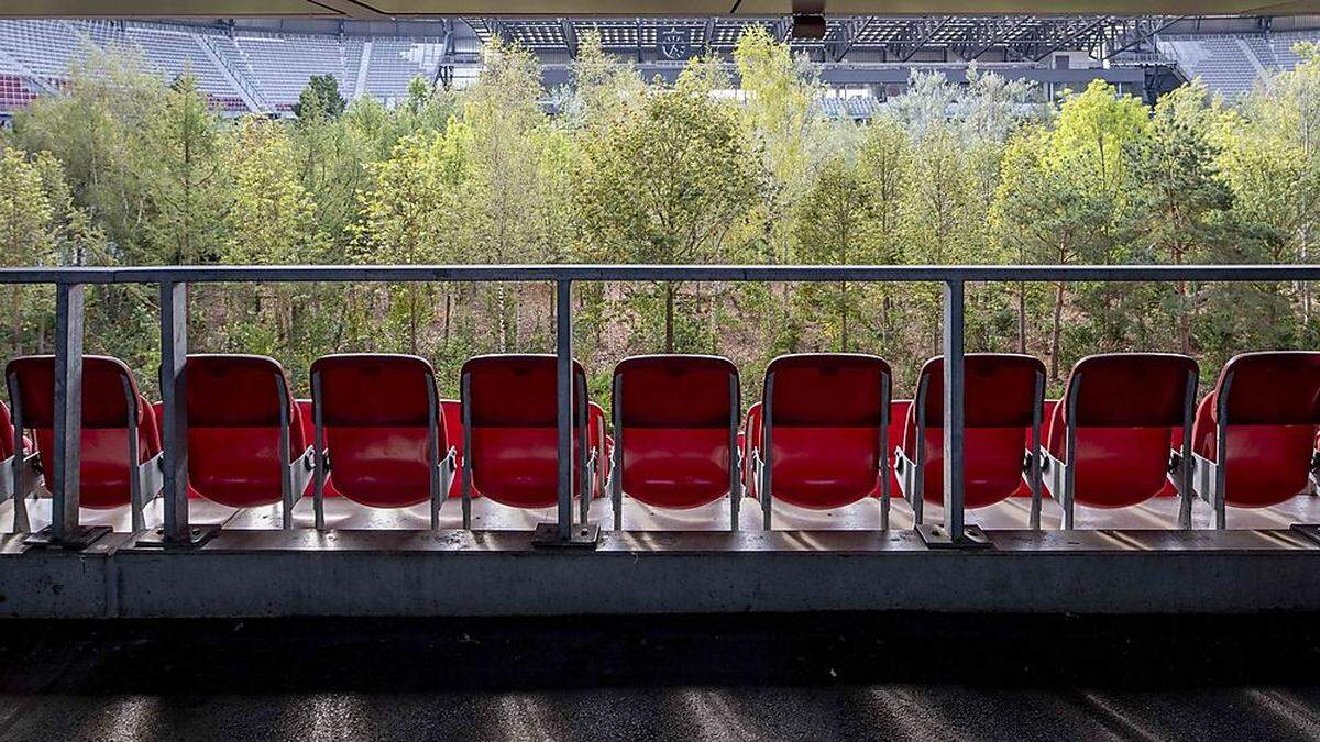 Die Sitzreihen beherbergen meistens Fußballfans. Jetzt stehen im Stadion allerdings Bäume