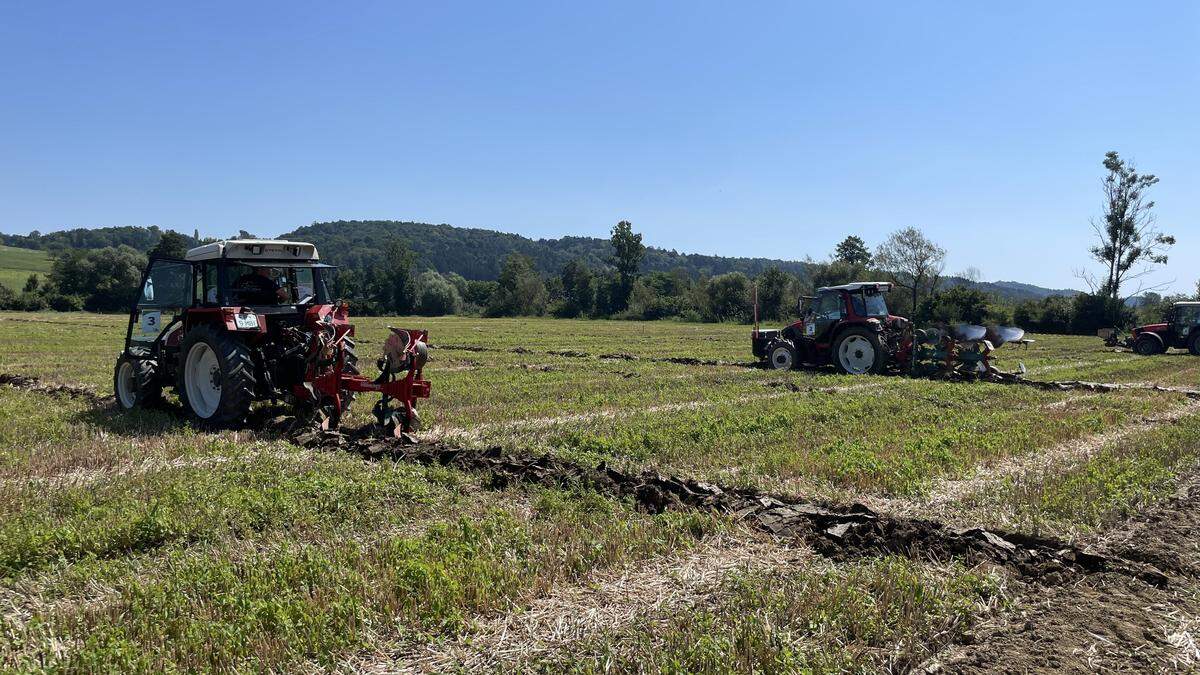 In St. Margarethen an der Raab wurde der Landessieger im Pflügen gekürt