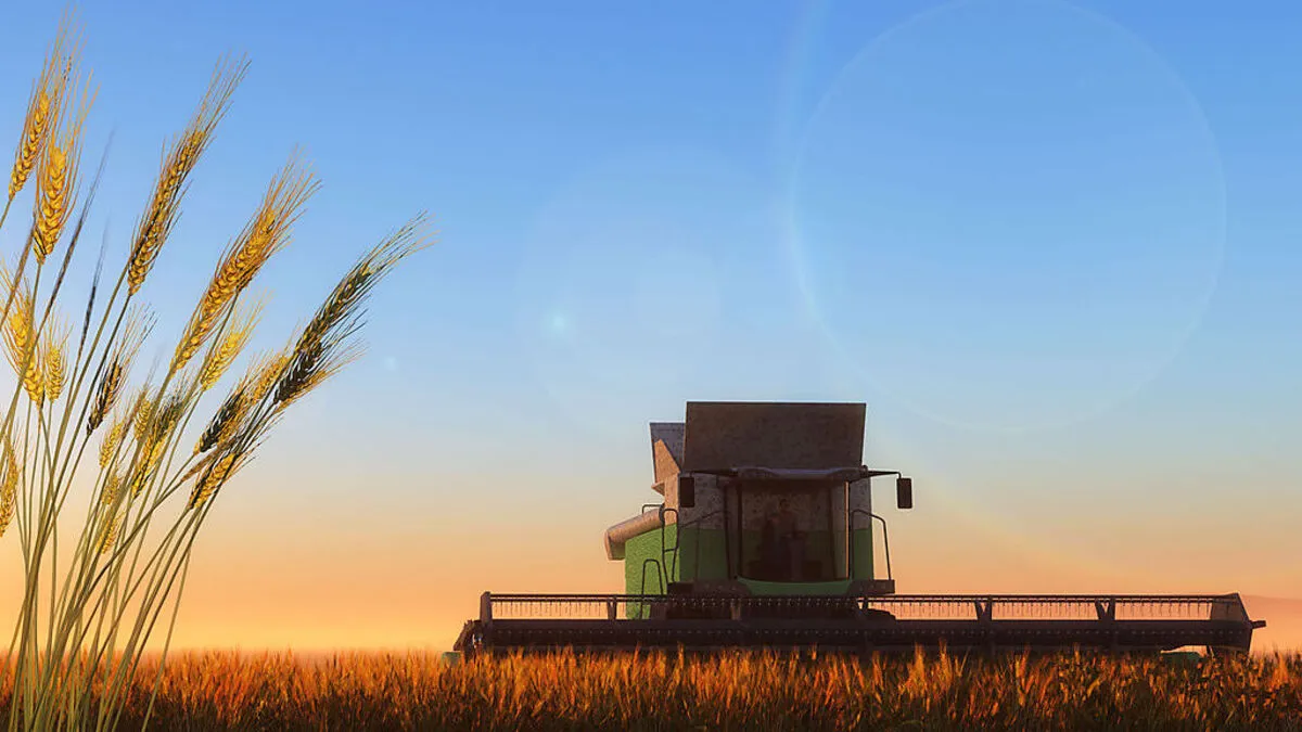 Jeder dritte Hektar Ackerland für den EU-Konsum liegt außerhalb der EU