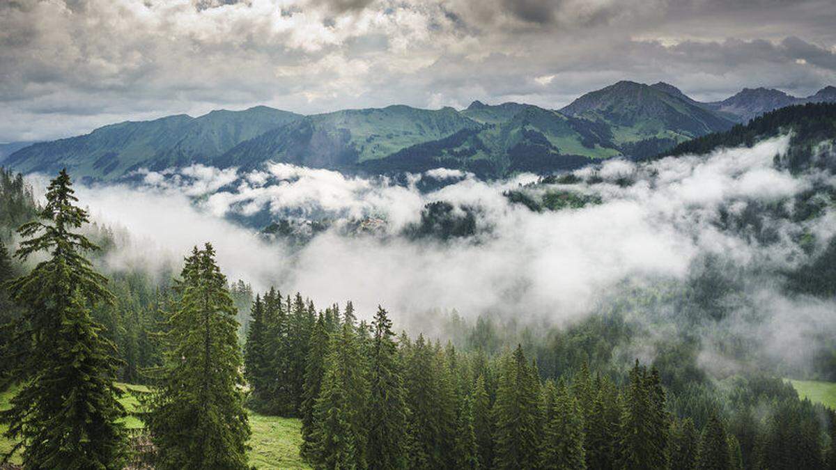 Im Kleinwalsertal in Vorarlberg wurde vergangenen Samstag eine skelettierte Leiche gefunden