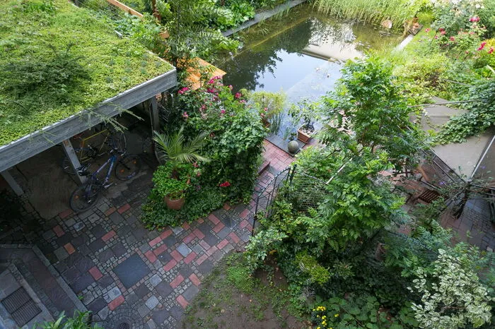 Hier der Blick in den Garten mit begrüntem Unterstand für die Fahrräder.