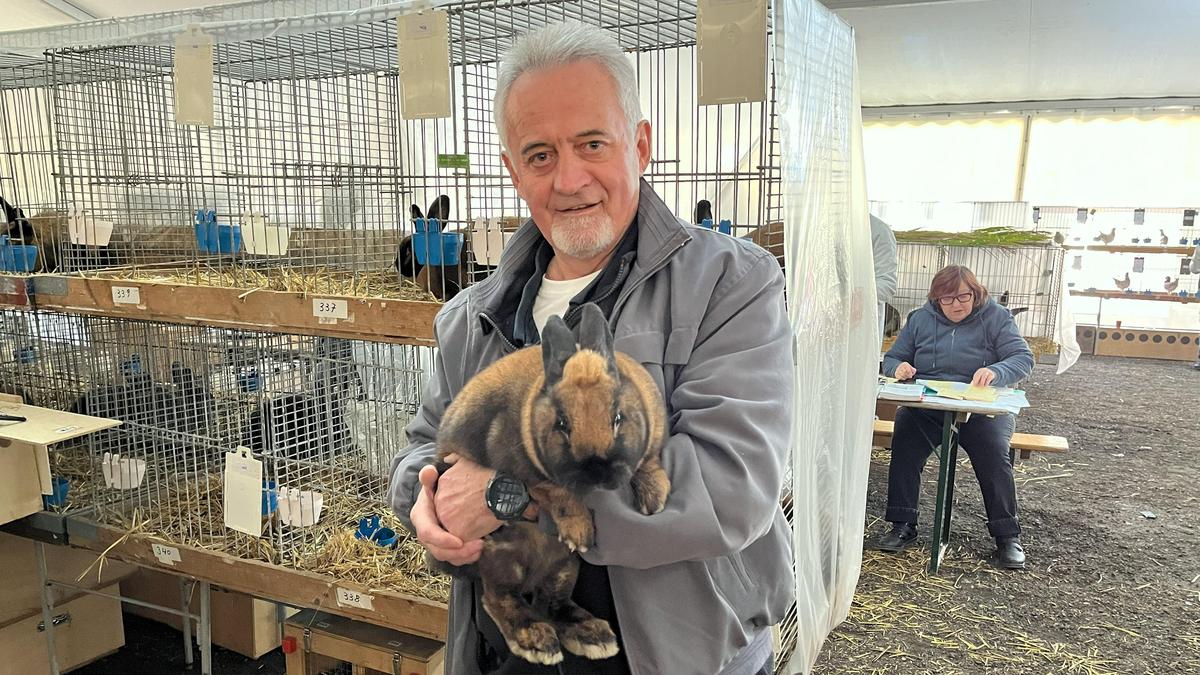 Josef Gallaun mit einem Thüringerkaninchen