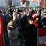 Pegida-Demo in Andritz