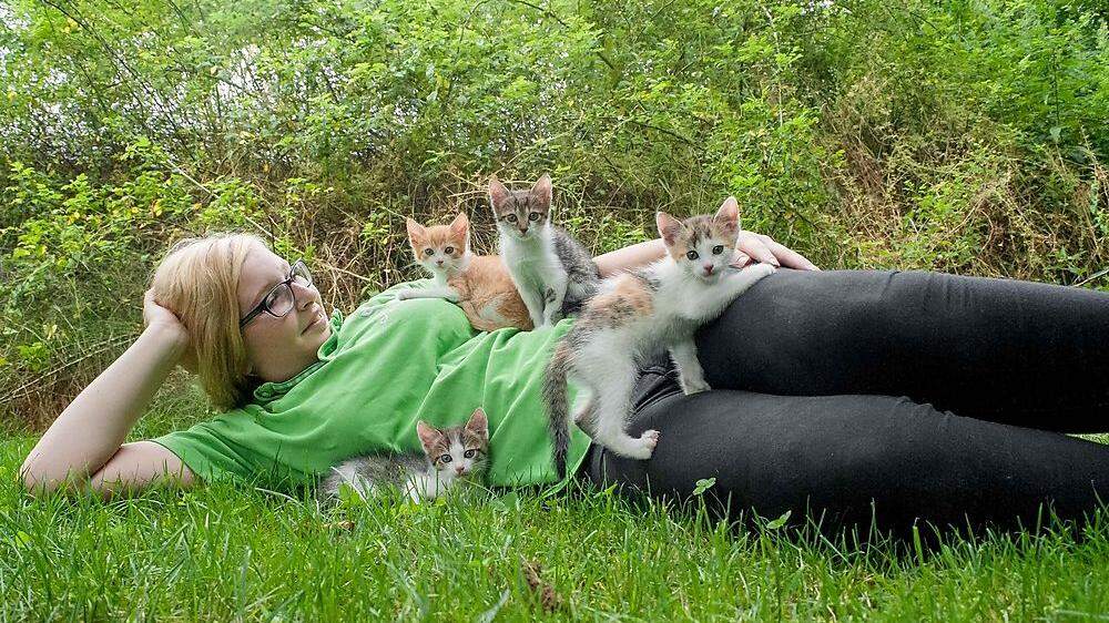 Tierpflegerin mit Kätzchen