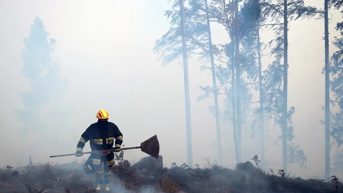 Samstagnachmittag ist in einem Waldstück bei Bad Eisenkappel ein Feuer ausgebrochen.
