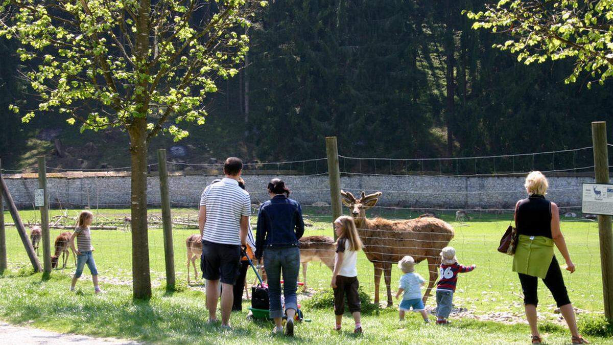 Auch ein Besuch im Tierpark Rosegg wäre heute eine Option