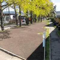 In diesem Bereich parkten früher die Bewohner der Straße. Jetzt wird dort begrünt, um die 100 Jahre alten Eichen zu schützen