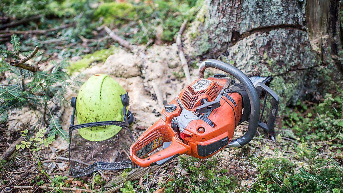 Der tragische Unfall passierte bei der Waldarbeit (Symbolfoto)