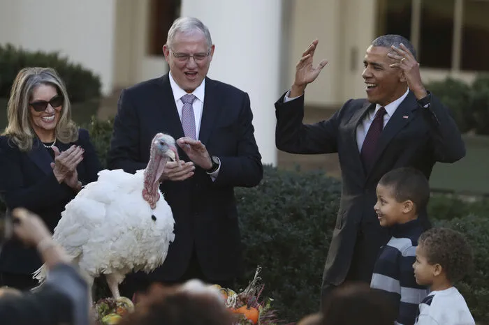 Weitere 87 Millionen Truthähne kommen in den Vereinigten Staaten jedes Jahr allein zu Thanksgiving, Weihnachten und Ostern auf den Tisch.