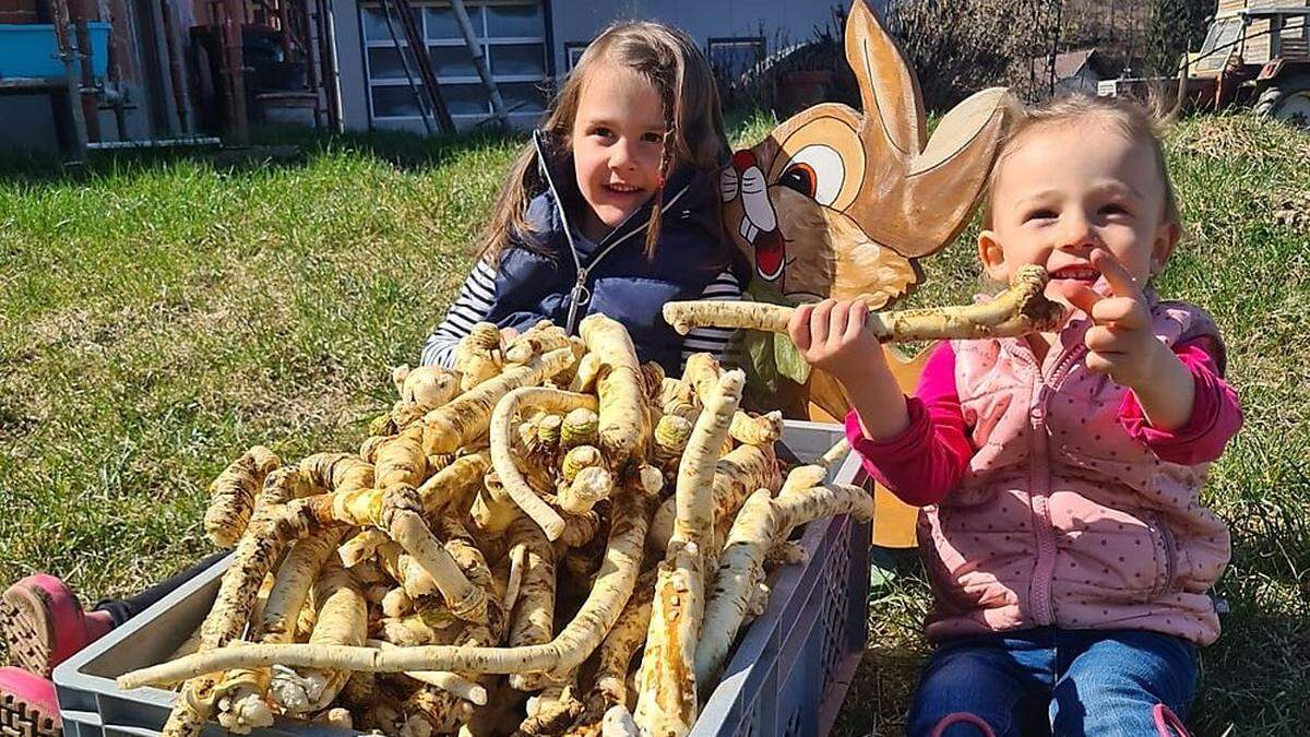 Die Kinder von Gemüsebauer Harald Schwarz präsentieren stolz den Kren, der so manchen auch zu Tränen rührt