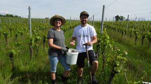 Weinbau Virunum Besitzerin Romana Candussi und Martin Weitschacher