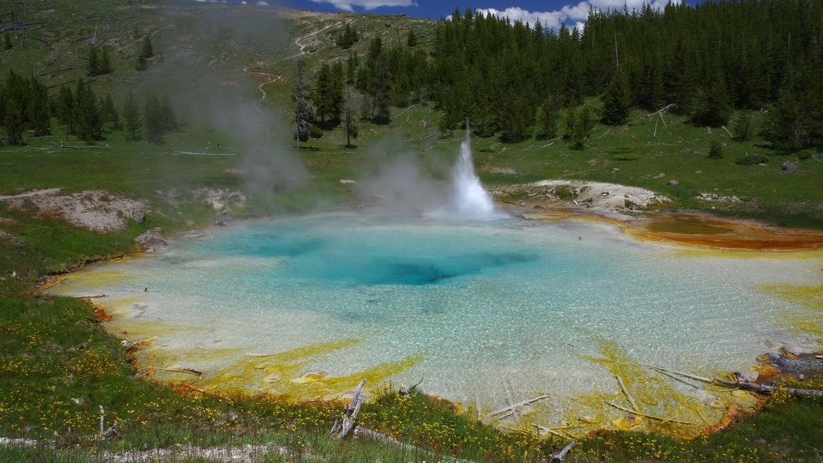 Roland Hatzenpichler forscht hauptsächlich im Yellowstone-Nationalpark