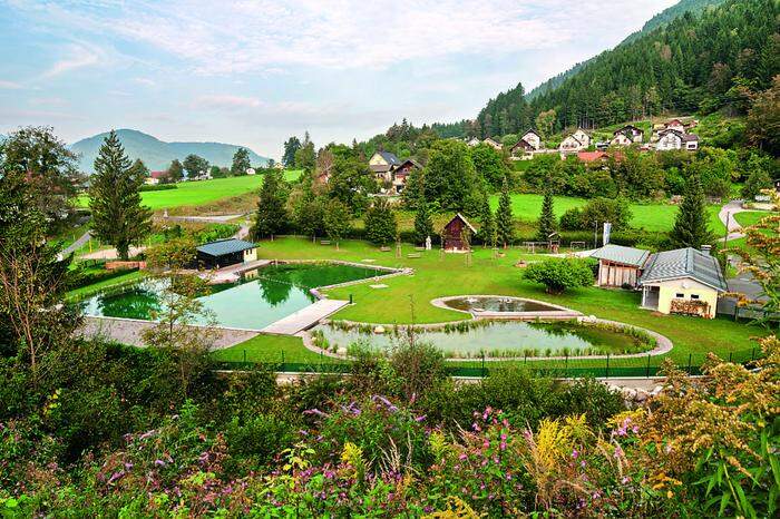 Naturschwimmbad Puch: Badevergnügen mitten im Grünen