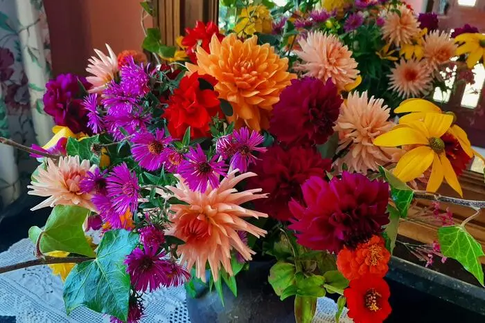 Schöne Farben | „Der Herbst malt meine Blumen in den schönsten Farben“, schreibt uns Leserreporterin Maria Wilms aus Keutschach.