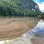 Verantwortlich für die "aufrahmende" Algenblüte am Tristacher See ist die Burgunderblutalge 