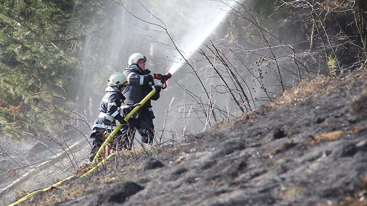 Über 100 Feuerehrleute konnten einen größeren Waldbrand verhindern