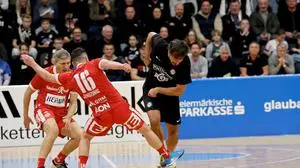 Ivica Vastic und Zlatko Junuzovic verzückten die Fans