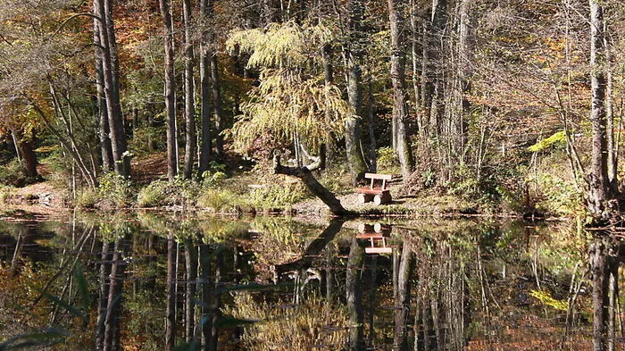 Schöne Stimmung am dritten Kreuzberglteich in Klagenfurt
