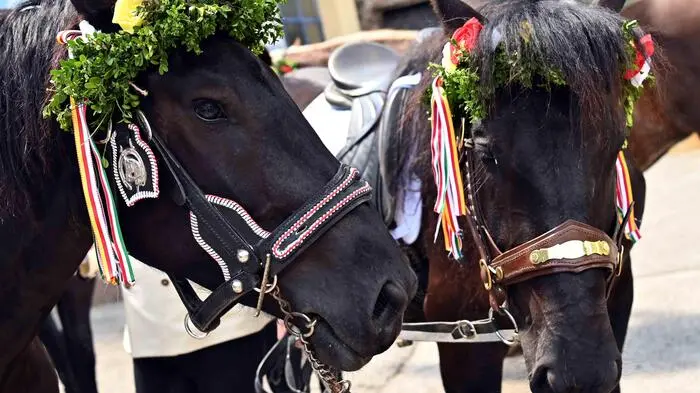 „Is in Weitensfeld dås Wetter schean und heiter, seind unterwegs die feschen und flotten Kranzelreiter!“ Das G‘stanzlsingen gehört zum Weitensfelder Kranzelreiten dazu. Fesch waren nicht nur alle Trachtenträgerinnen und Träger am gestrigen Feiertag beim ältesten und schönsten Pfingstbrauch Kärntens.