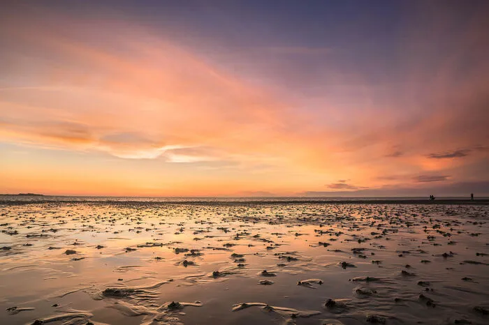 Wenn der frühe Morgen oder der späte Tag die Halligen in ihr besonderes Licht taucht, dann legt sich der Schleier des Geheimnisvollen über die Biosphäre im nordfriesischen Wattenmeer, heute Modellregion für nachhaltige Nutzung.