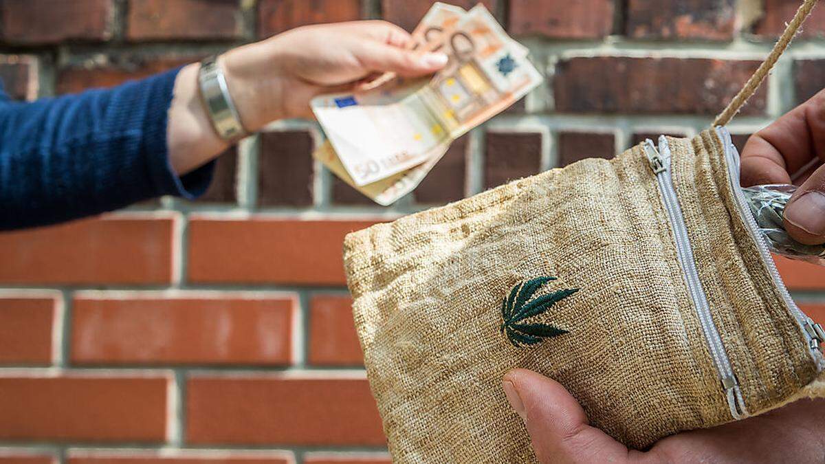 Der Mann soll mit selbst angebautem Cannabis sowie mit Kokain und Heroin gedealt haben (Symbolfoto)