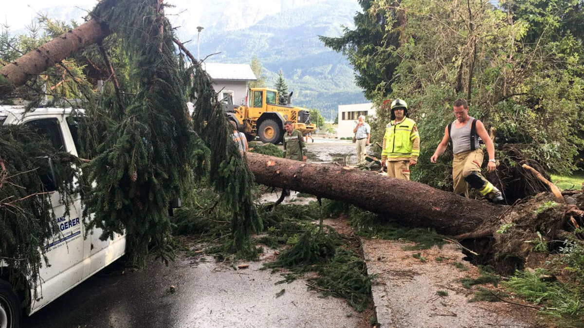 Glück im Unglück hatte ein Fahrer, als sein Pkw von einem umstürzenden Baum erfasst wurde