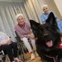 Tierischer Besuch im Bezirkspflegeheim in Gleisdorf: Regelmäßig kommen im Schillerhaus Therapiebegleithunde vorbei und zaubern den älteren Menschen ein Lächeln ins Gesicht