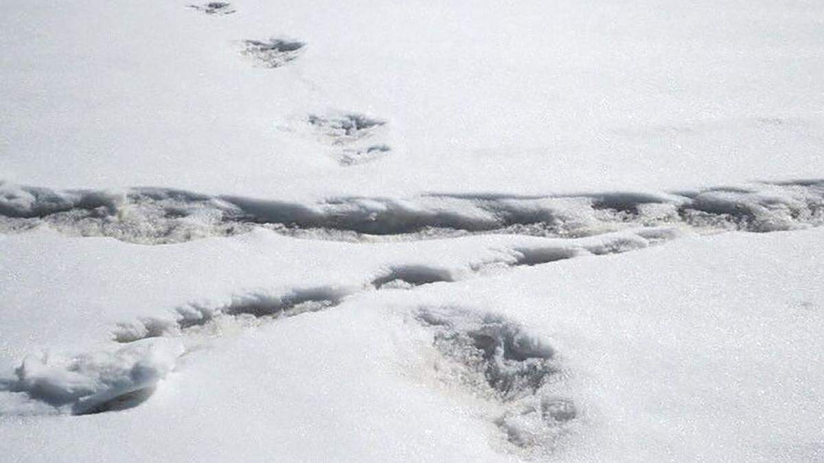 Indische Armee veröffentlichte Fotos von angeblichen Yeti-Spuren