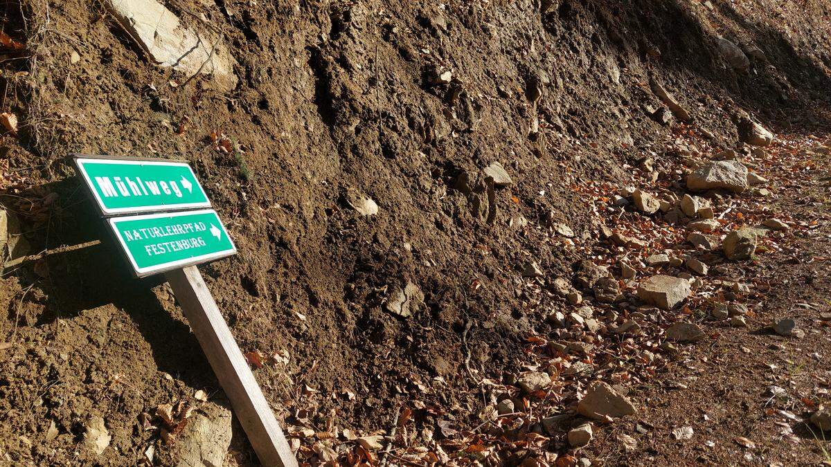 Spuren der Verwüstung in oststeirischem Landschaftsschutzgebiet