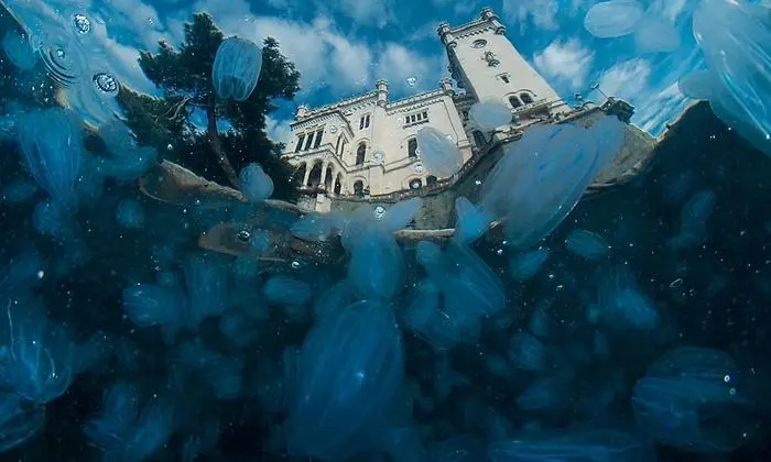 Jeden Mittwoch kann man einen Schnorchelgang bei Sonnenuntergang buchen