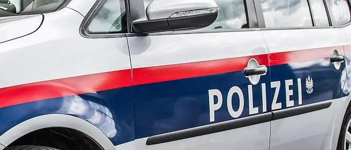 Neben der Polizei standen das Rote Kreuz und die Feuerwehren Fehring und Pertlstein im Einsatz